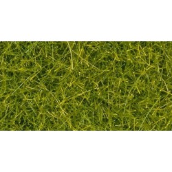 Erba verde chiaro 4 mm 20 gr