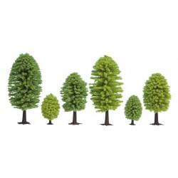 25 alberi misti 50-90 mm...
