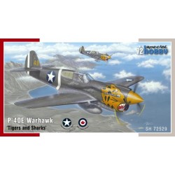 Special Hobby 72529 P-40E...