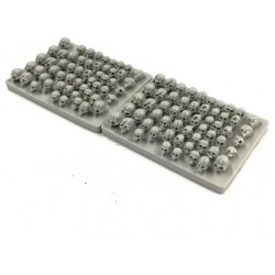 Teschi in resina per...