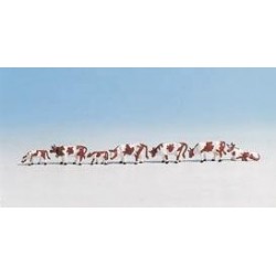 Mucche marroni e bianche HO