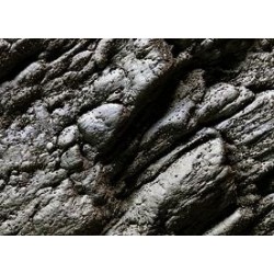 Muro roccia calcarea
