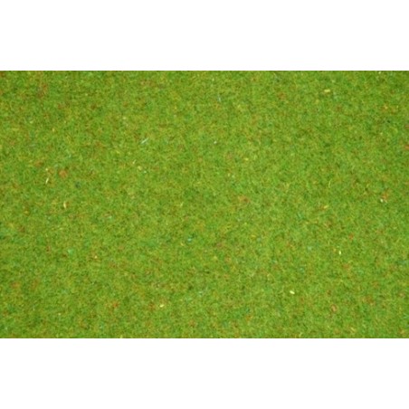 Tappeto erboso - prato - Come realizzare un tappeto erboso perfetto