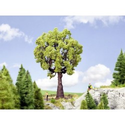 Albero quercia 19 cm