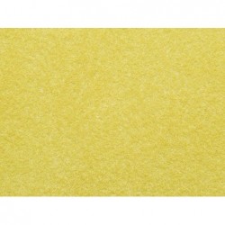 Erba giallo dorato 2,5 mm