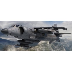 BAe Sea Harrier FA2 1/72