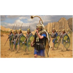 Roman Auxiliaries on the...