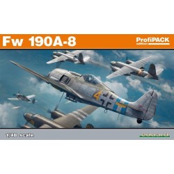 Fw 190A-8 1/48